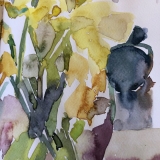 Daffodils-5-2020