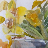 Daffodils-6-2020