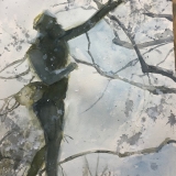 Falconer-study-Central-Park-2021-15-x-11-inches