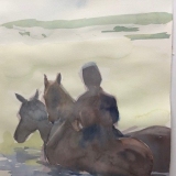 Horses-3-at-Sylvester-Cove-Oct-2020