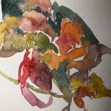 floral-still-life2020