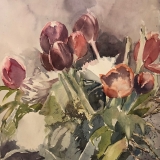 flowers-Tulips-2-21-21-11-x-11-inches