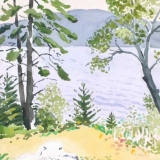 Birch-TreesGSHI