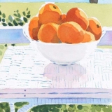 Florida-OrangesGSHI