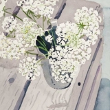 Straus_Queen_Annes_Lace_kw76655