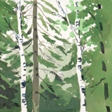 straus_6-13_kw78041